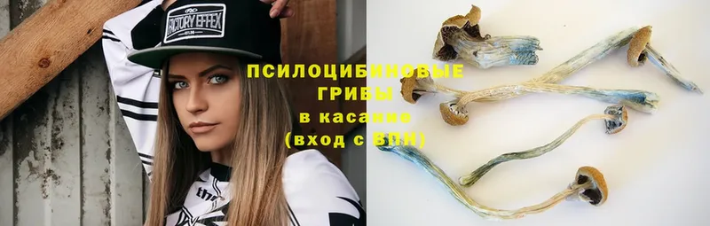 Галлюциногенные грибы MAGIC MUSHROOMS  Михайловск 